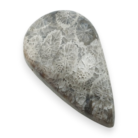 Fossil koralowiec kaboszon 27x16 mm nr 41