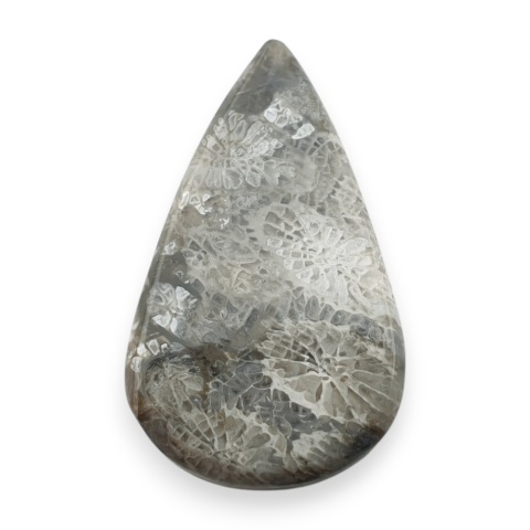 Fossil koralowiec kaboszon 27x16 mm nr 41