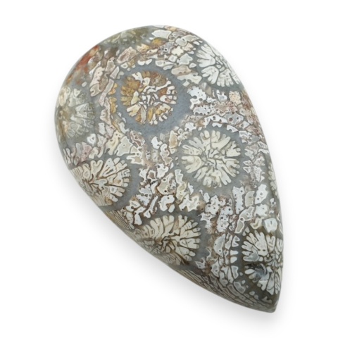 Fossil koralowiec kaboszon 27x17 mm nr 15