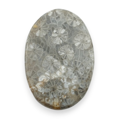 Fossil koralowiec kaboszon 27x18 mm nr 16