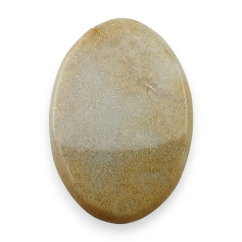 Fossil koralowiec kaboszon 27x18 mm nr 53