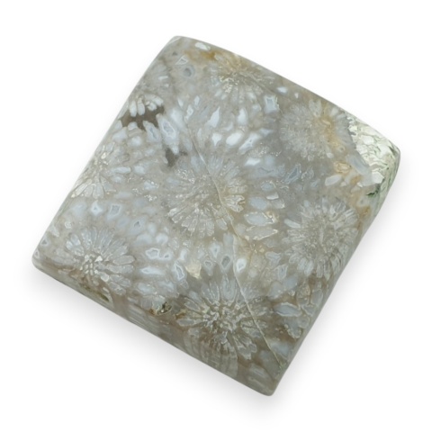 Fossil koralowiec kaboszon 27x26 mm nr 1