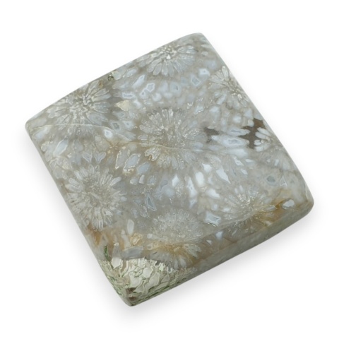 Fossil koralowiec kaboszon 27x26 mm nr 1