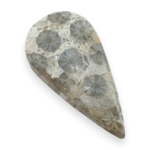 Fossil koralowiec kaboszon 28x15 mm nr 57