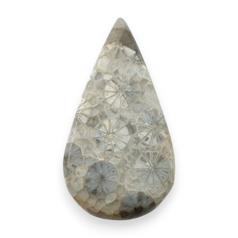 Fossil koralowiec kaboszon 28x15 mm nr 57