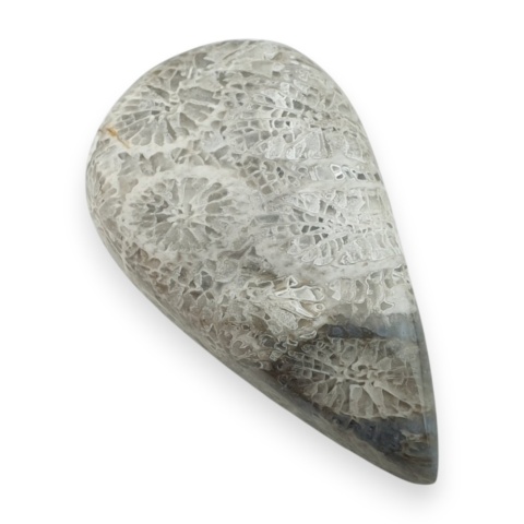 Fossil koralowiec kaboszon 28x16 mm nr 88