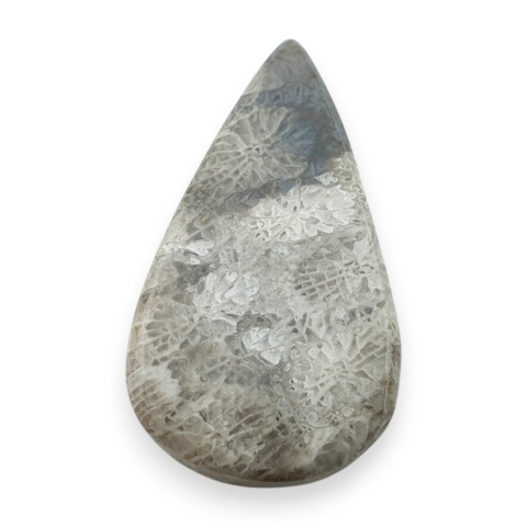 Fossil koralowiec kaboszon 28x16 mm nr 88
