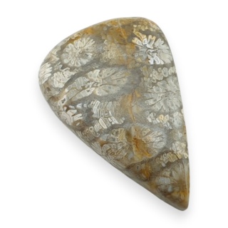 Fossil coral cabochon 28x18 mm no 48