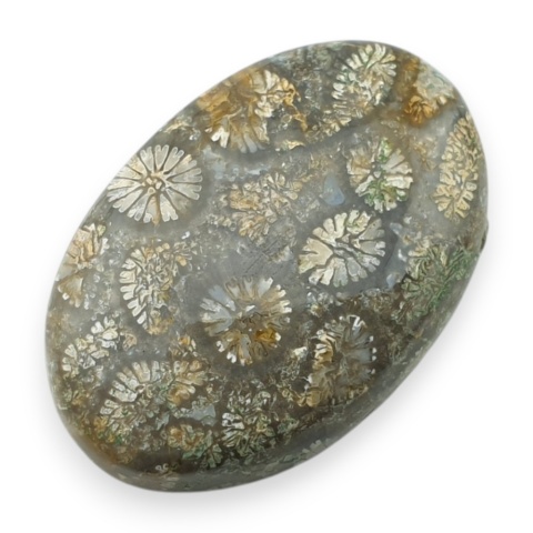 Fossil coral cabochon 28x19 mm no 9
