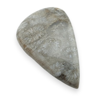 Fossil coral cabochon 29x18 mm no 103