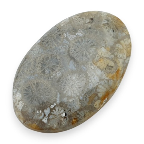 Fossil koralowiec kaboszon 29x18 mm nr 50