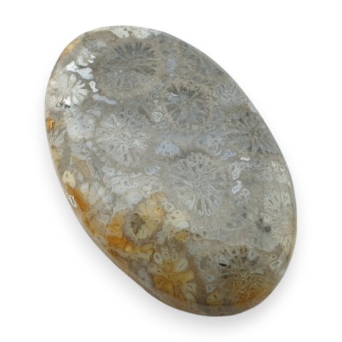 Fossil koralowiec kaboszon 29x18 mm nr 50