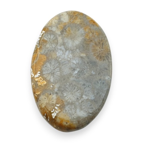 Fossil koralowiec kaboszon 29x18 mm nr 50