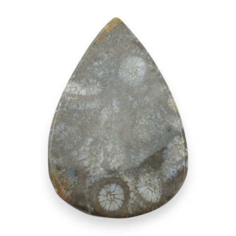 Fossil koralowiec kaboszon 29x19 mm nr 10