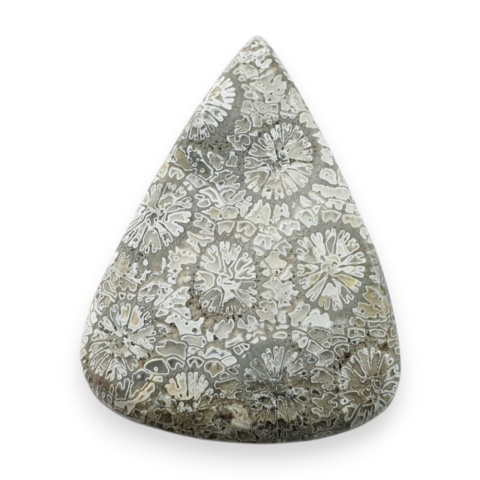Fossil koralowiec kaboszon 29x21 mm nr 38