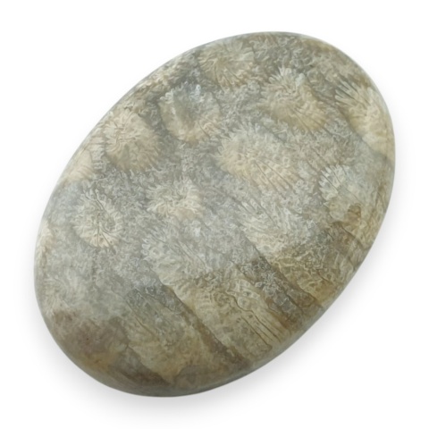 Fossil koralowiec kaboszon 29x21 mm nr 55