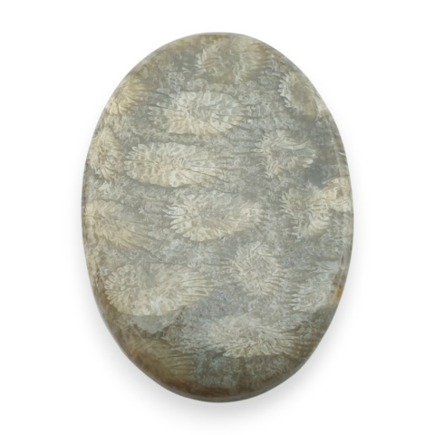 Fossil koralowiec kaboszon 29x21 mm nr 55