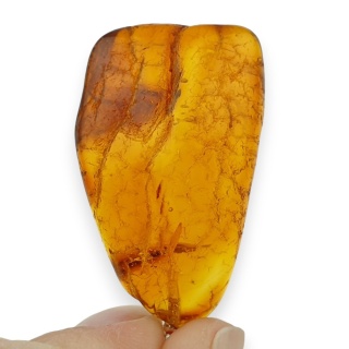 Baltic Amber Pendant 33x20 mm no 106