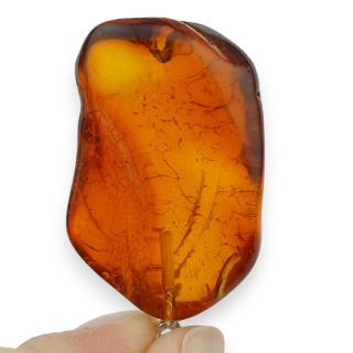 Baltic Amber Pendant 33x22 mm no 86