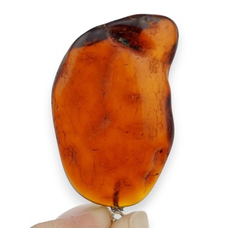 Baltic Amber Pendant 34x22 mm no 81