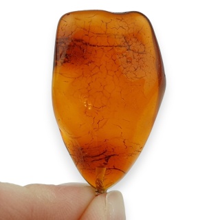 Baltic Amber Pendant 34x22 mm no 97