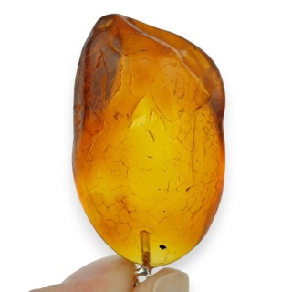 Baltic Amber Pendant 35x21 mm no 73