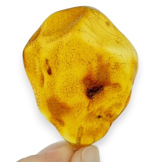 Baltic Amber Pendant 35x29 mm no 95