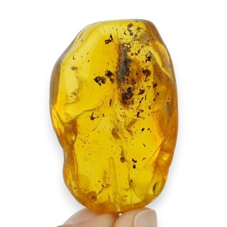 Baltic Amber Pendant 36x25 mm no 107