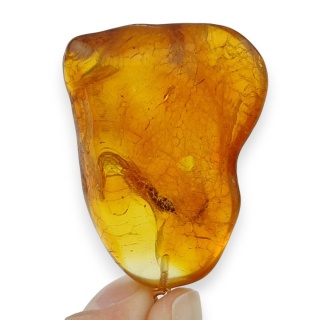 Bursztyn bałtycki zawieszka 36x27 mm nr 113