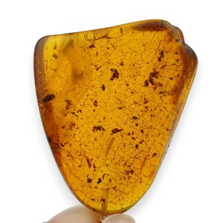 Bursztyn bałtycki zawieszka 36x32 mm nr 7