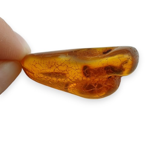 Baltic Amber Pendant 37x21 mm no 76
