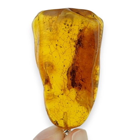 Bursztyn bałtycki zawieszka 37x23 mm nr 49