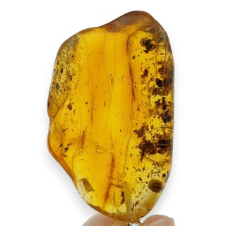 Bursztyn bałtycki zawieszka 37x23 mm nr 89