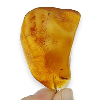 Bursztyn bałtycki zawieszka 37x26 mm nr 26