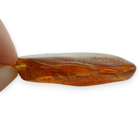 Baltic Amber Pendant 39x23 mm no 94