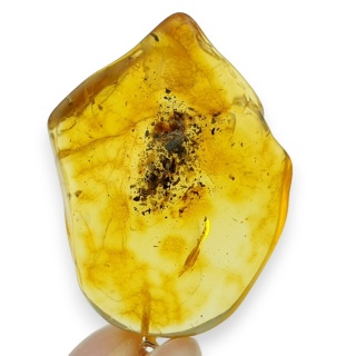 Bursztyn bałtycki zawieszka 40x29 mm nr 8