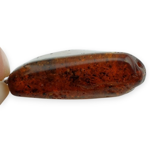 Bursztyn bałtycki zawieszka 41x22 mm nr 12