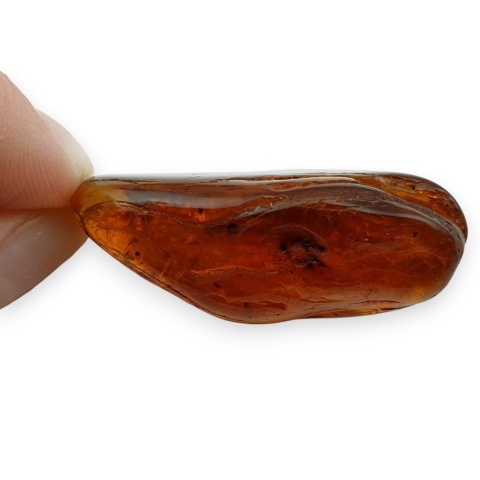 Baltic Amber Pendant 41x22 mm no 66