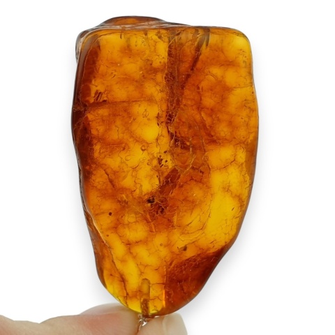 Baltic Amber Pendant 41x25 mm no 54