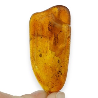 Bursztyn bałtycki zawieszka 43x21 mm nr 57