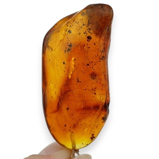 Bursztyn bałtycki zawieszka 44x24 mm nr 56