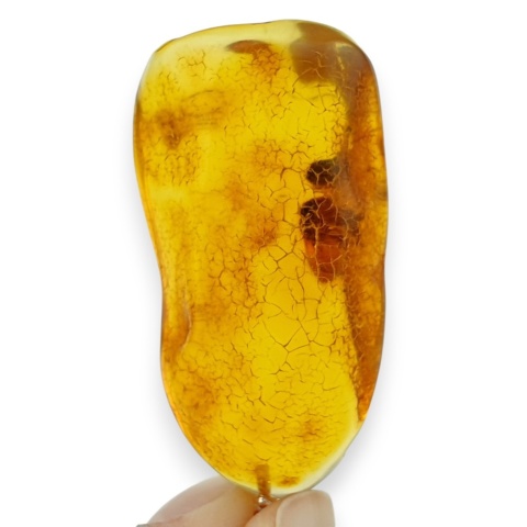 Baltic Amber Pendant 44x24 mm no 60