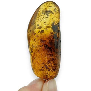 Bursztyn bałtycki zawieszka 46x20 mm nr 48