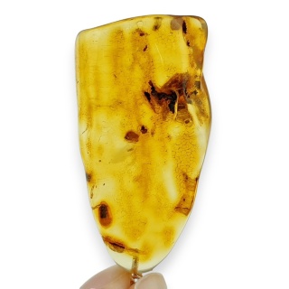 Bursztyn bałtycki zawieszka 46x24 mm nr 37