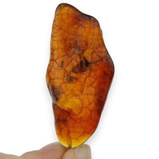 Bursztyn bałtycki zawieszka 48x23 mm nr 19