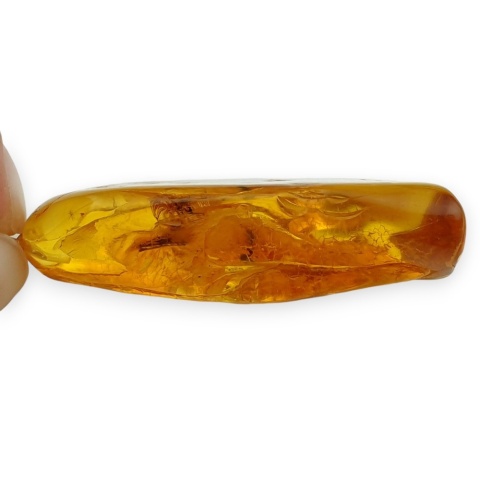 Baltic Amber Pendant 50x24 mm no 21