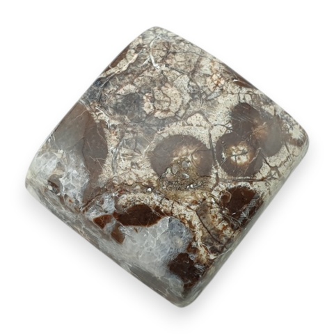 Jaspis leopardzi kaboszon 22x21 mm nr 103