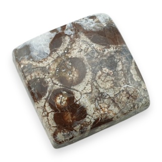 Jaspis leopardzi kaboszon 22x21 mm nr 103