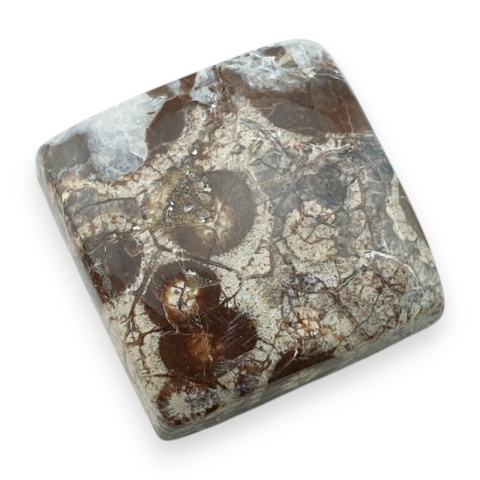 Jaspis leopardzi kaboszon 22x21 mm nr 103