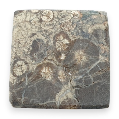 Jaspis leopardzi kaboszon 22x21 mm nr 103